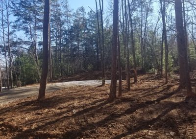 clearing a lot in North Georgia