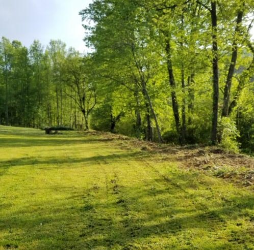 Long arm mowing and Bushhogging